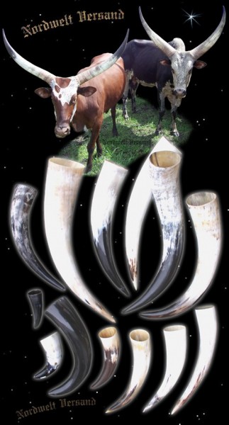 Trinkhörner aus echtem Horn Methorn 